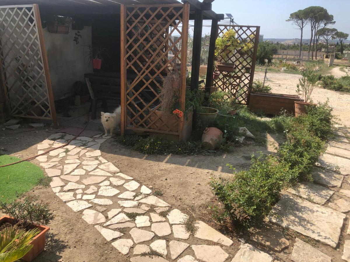 Villa Radiosa Gravina in Puglia Zewnętrze zdjęcie